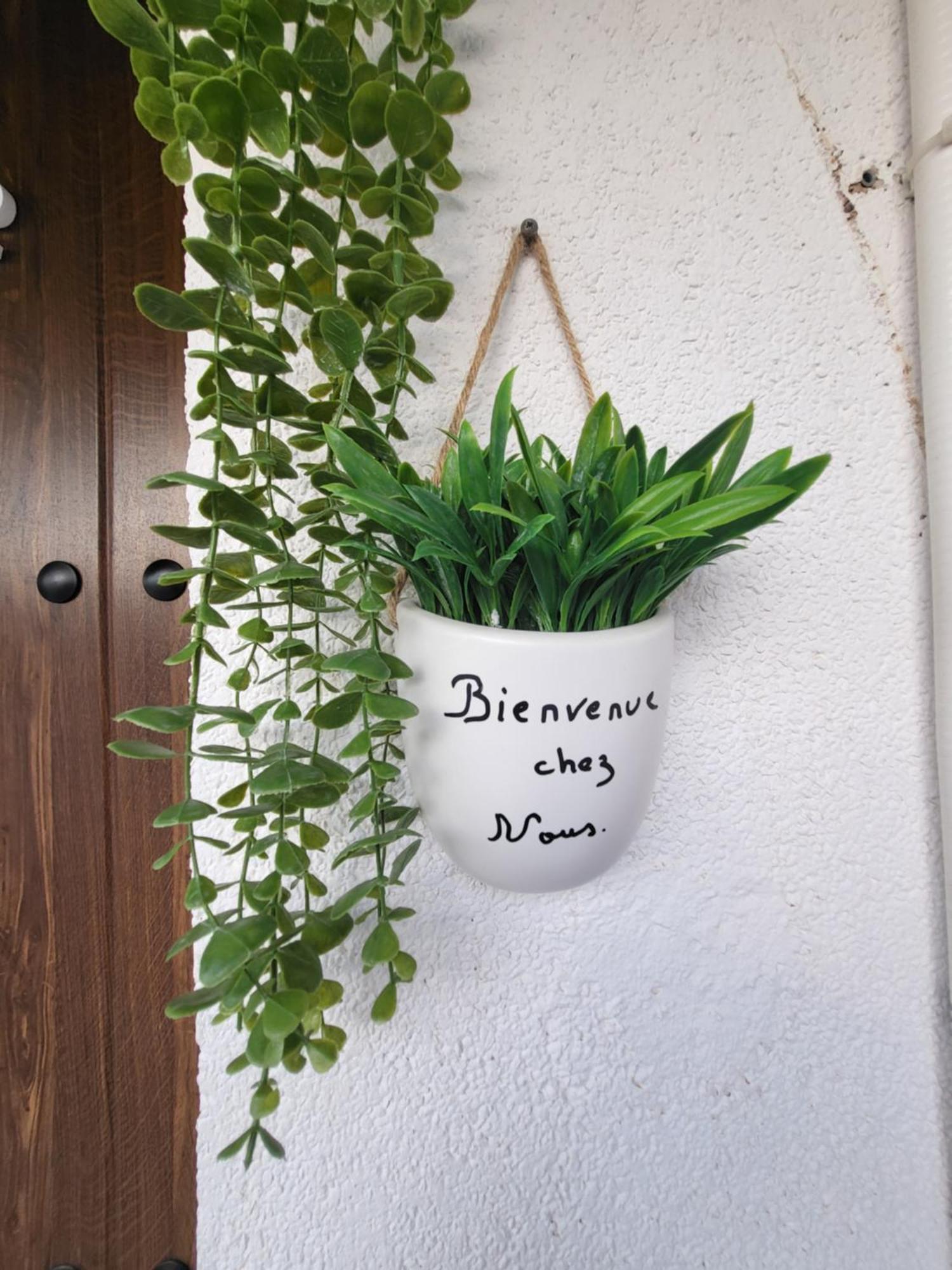 Maison 2 Chambres Tout Confort Torrevieja Eksteriør billede
